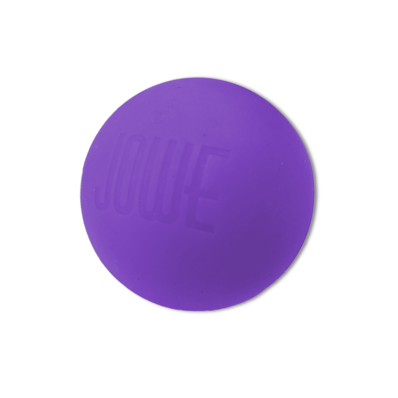 Jowe Massage Ball - Purple-Massage Aid-Jowe-SwimPath